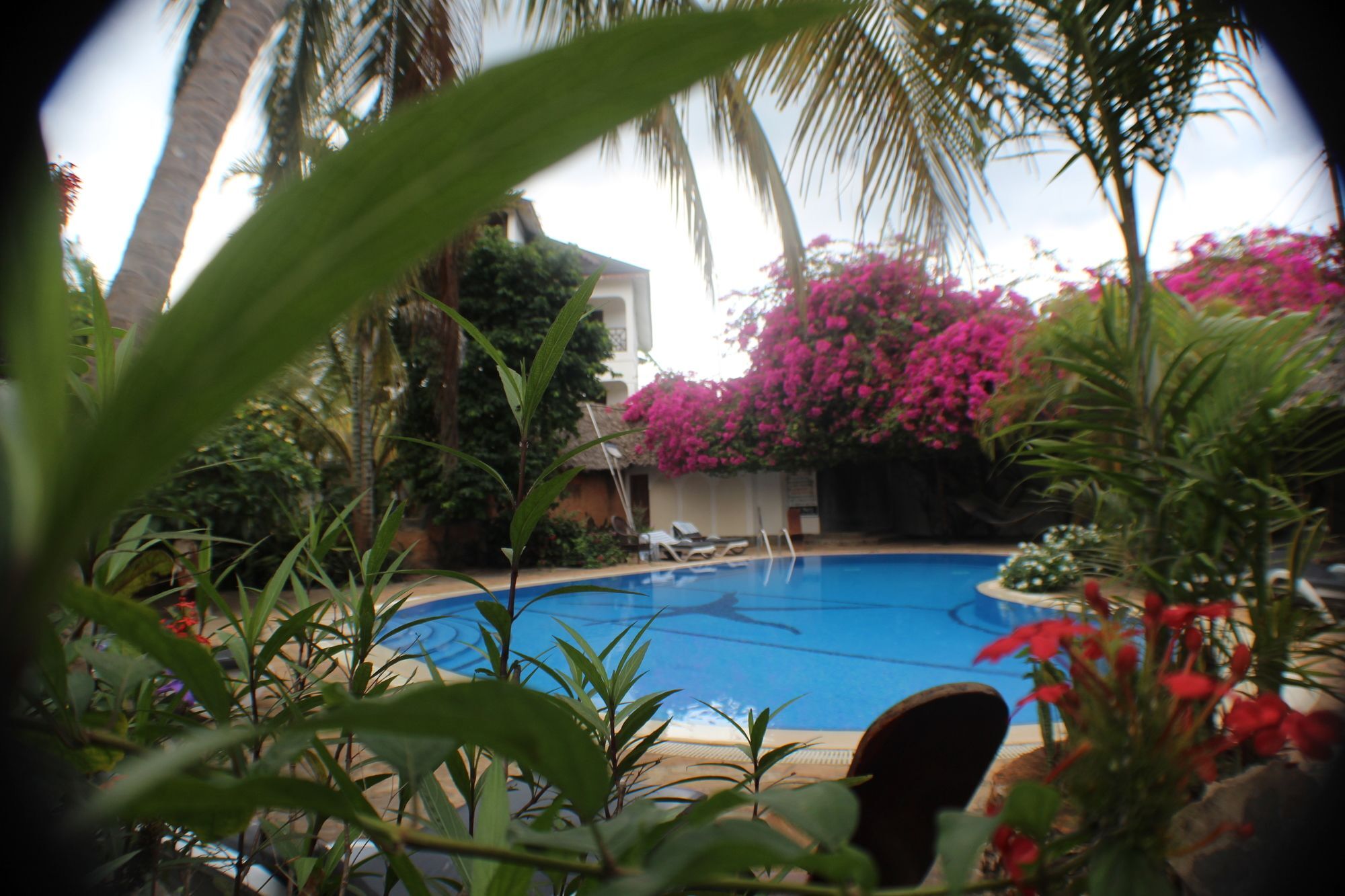Langi Langi Beach Bungalows Nungwi Exteriér fotografie